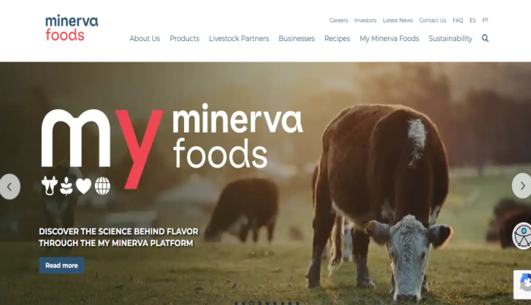 وظائف عن بعد للنساء