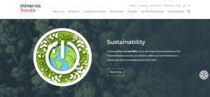 وظائف عن بعد للنساء